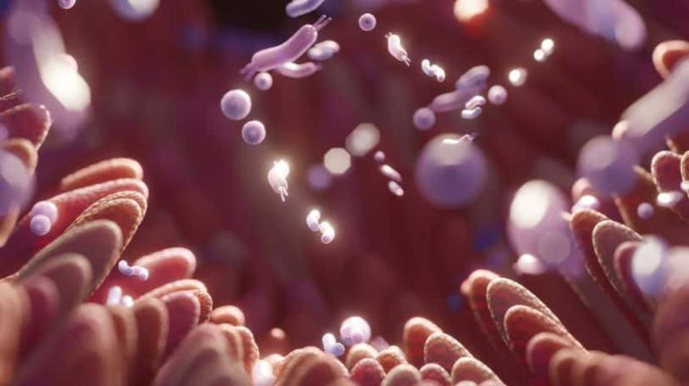 micriobiote buccal sain