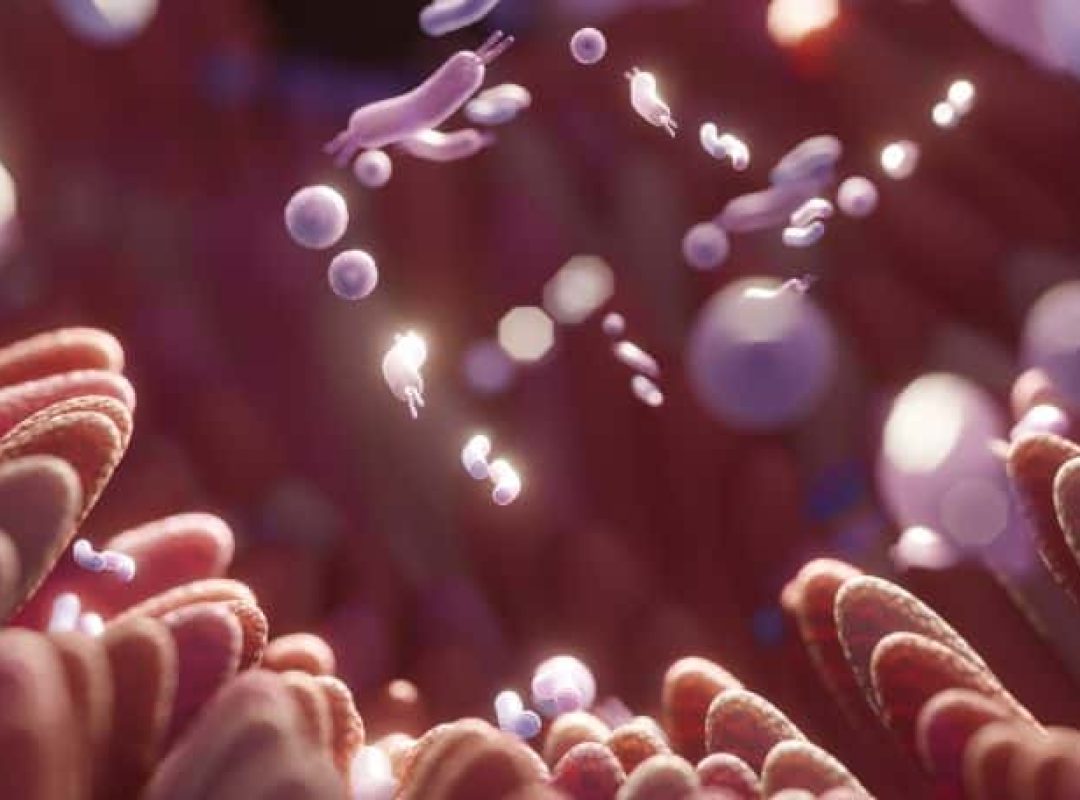 micriobiote buccal sain